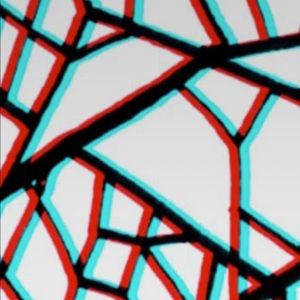 Meet your Posher, Sofia